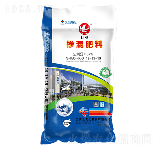 �������19-19-19-�t��-���o����