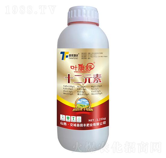 ʮ��Ԫ��-�~����-���S����