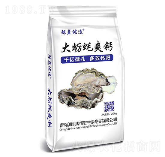 ��Ϡϖˬ�}-����(r��n)�A��