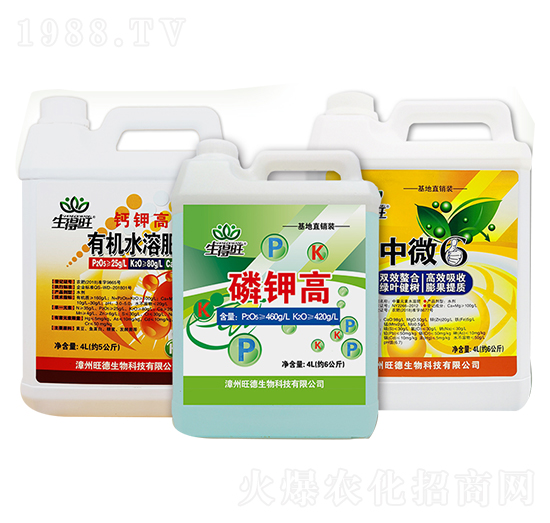 ������|(zh��)�ײͽM��-������-��������