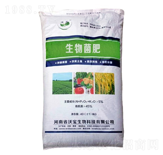 �������-�֌�����