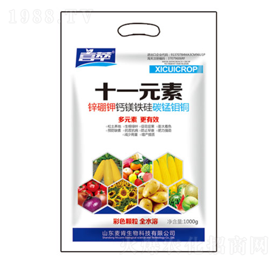 ʮһԪ��-��������