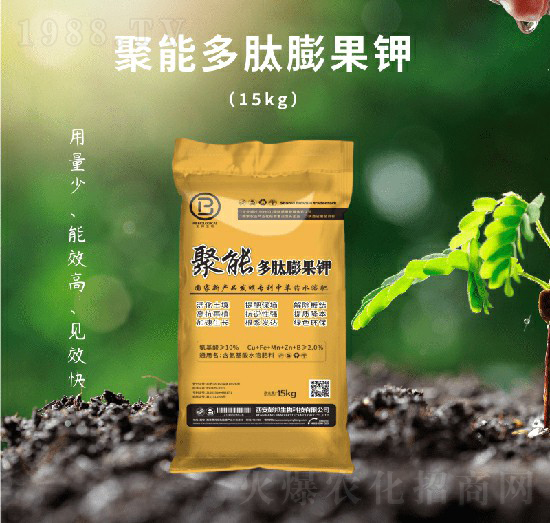 ���ܶ�������-��������