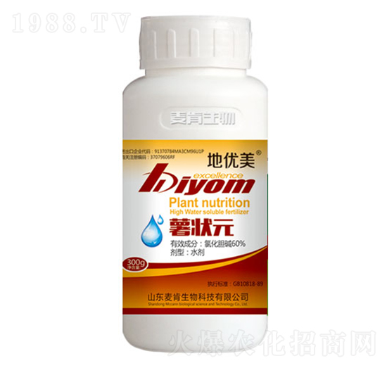 ����Ԫ-��������