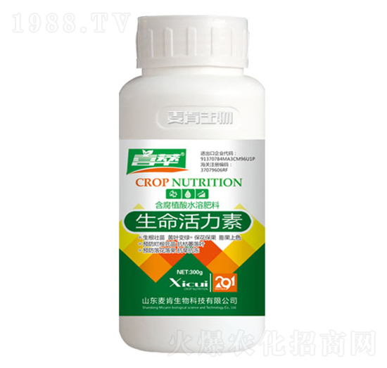 ����������-��������