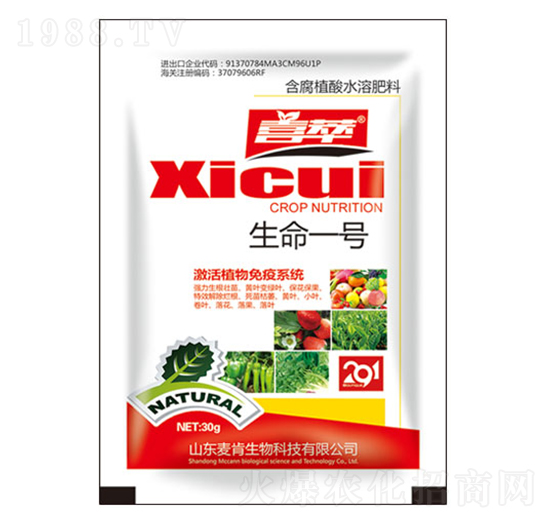 ����һ̖-��������