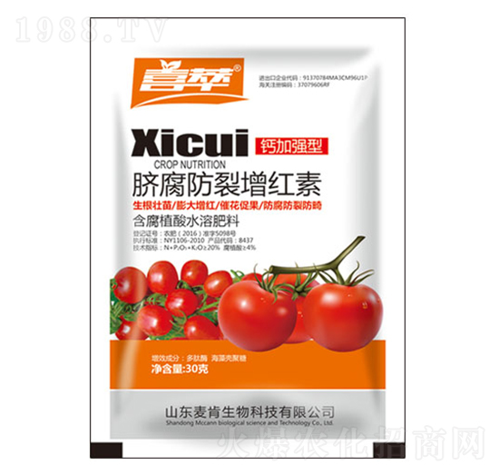 Ě���������t��-��������