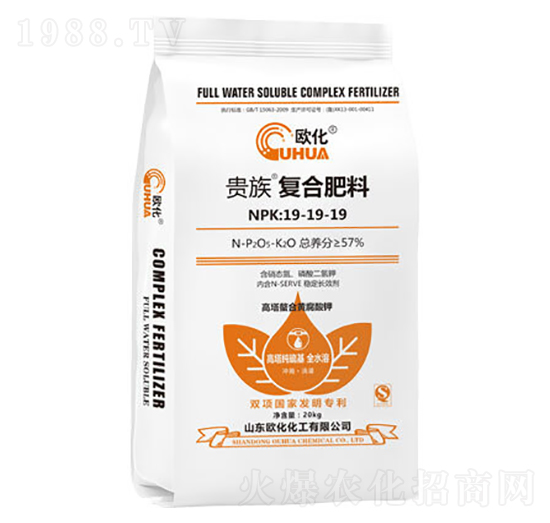 �F���(f��)�Ϸ���19-19-19-�W��