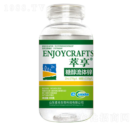 �Ǵ����w�\-��������