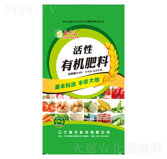 ���S�_(d��)�����ЙC(j��)����-���S�Ƽ�