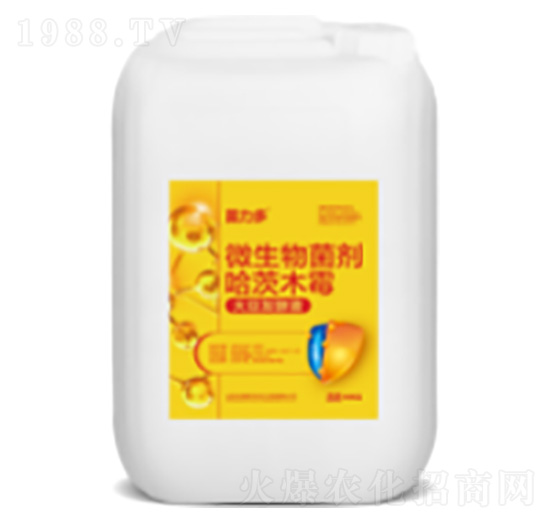 ΢�������������ľù��-�帣��