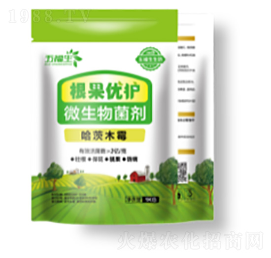 ΢�������-������(y��u)�o-�帣��