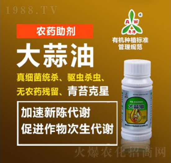 �������r(n��ng)ˎ����-�W�S