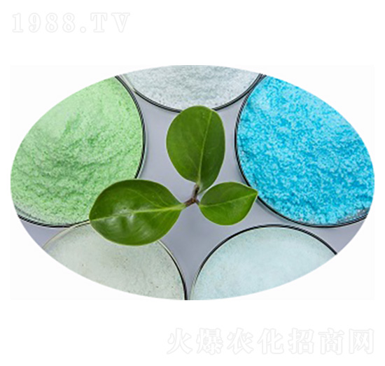 ����⛷���19-19-19+TE-�۸�˼�_(d��)