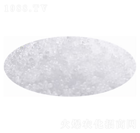 ���أ��w�����w����-�۸�˼�_