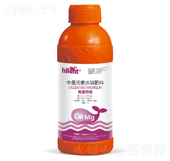 1000ml�����}�V-���{(l��n)��