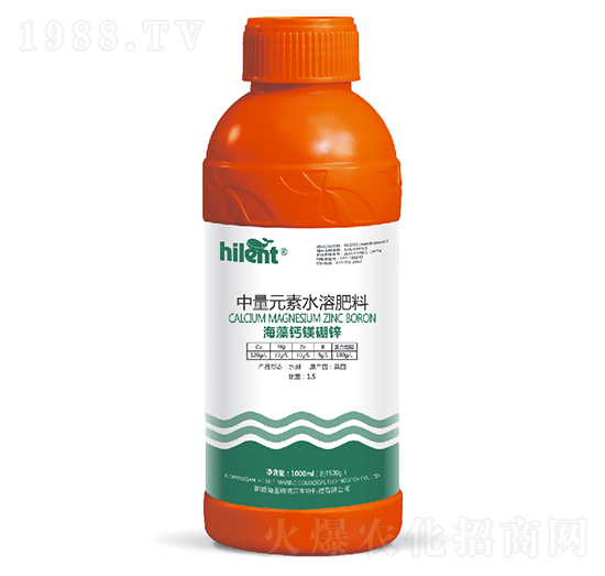 1000ml�����}�V���\-���{��