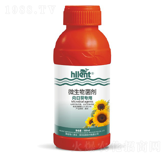 ���տ���(zhu��n)��΢�������-���{(l��n)��