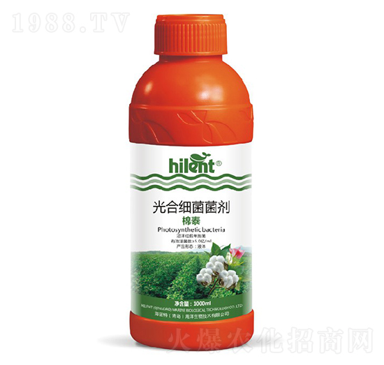 ��ϼ�������-��̩-���{��