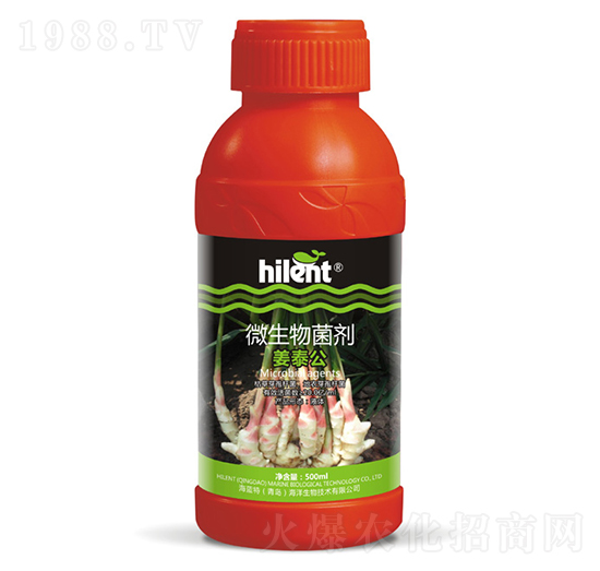 500ml΢�������-��̩��-���{��