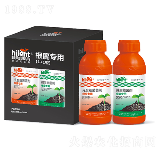 �������á�1+1�͡�-���{��