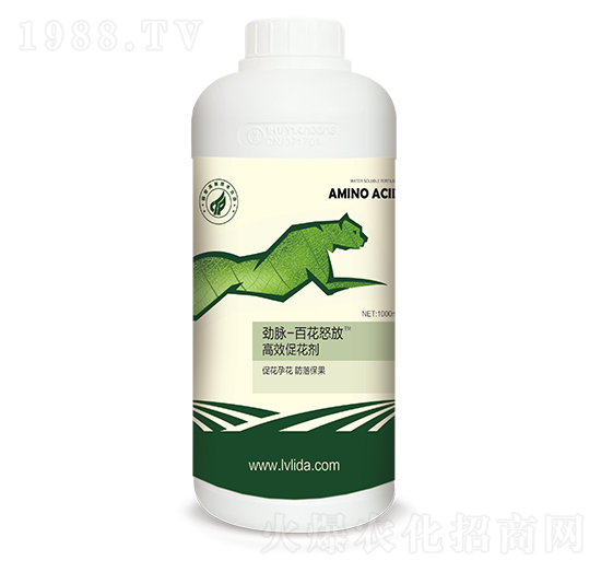 ��Чֲ�ﻨ�����M(j��n)��-��(y��u)����(y��u)��-���}