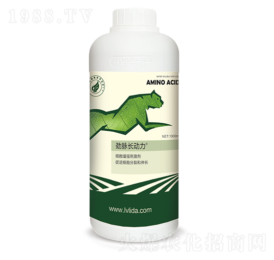 ���������̼���-�L����-���}