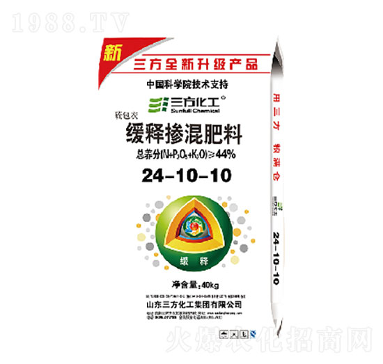 ��ጓ������24-10-10-��������