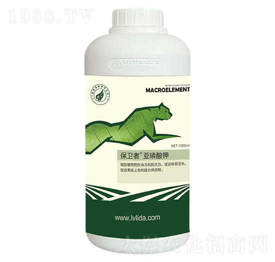 �������-���}