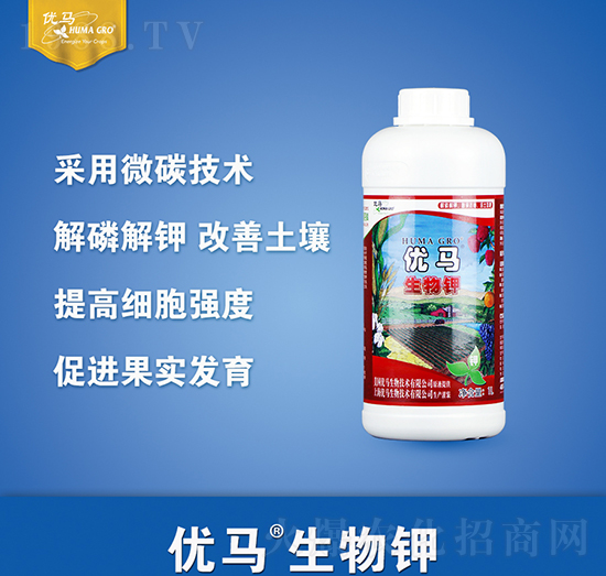 �����-��(y��u)�R����