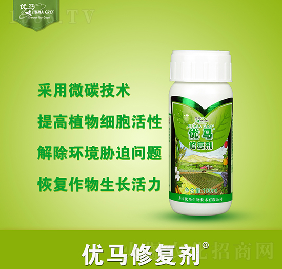 ��(y��u)�R�ޏ�(f��)��-��(y��u)�R����