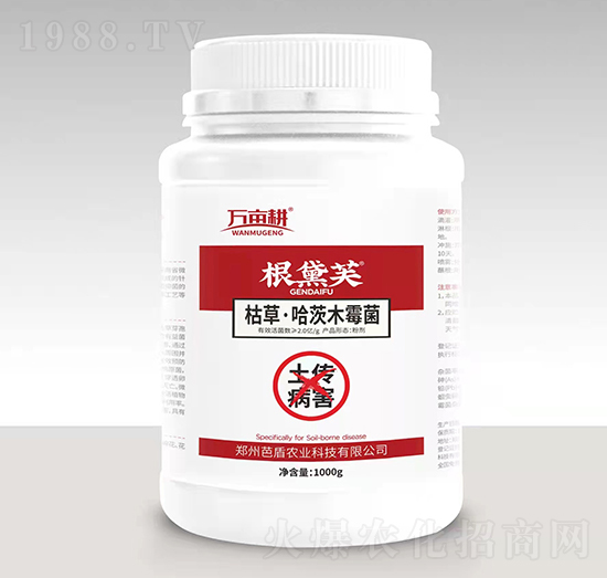 ���������������-����ܽ-��ķ������