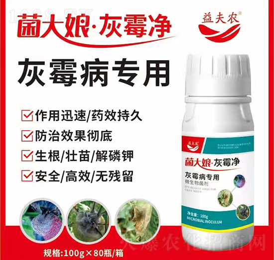 ��ù������-�������ù��-����r(n��ng)