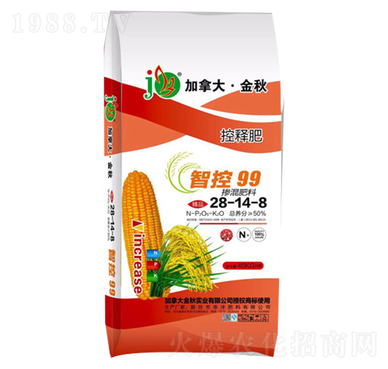 �ǿ�99�������28-14-8-�A������