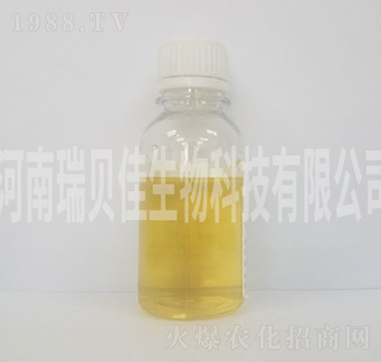 Һ�w��-��ؐ������