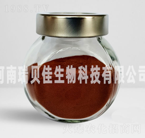 �����������F-��ؐ������