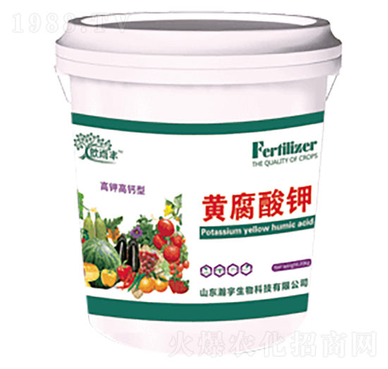 �S�����-�������