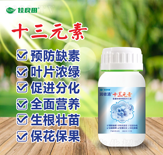 ʮ��Ԫ��-���z��