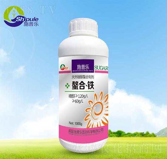 ���ϡ��F-ʩ�՘�