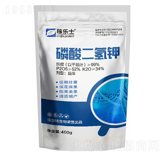 ��������-�ژ�ʿ-�֠���