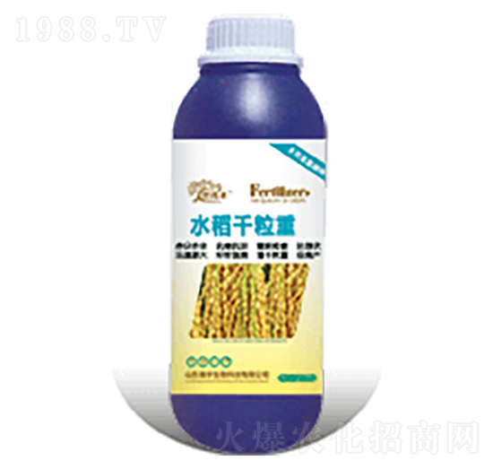 ˮ��ǧ����-�������