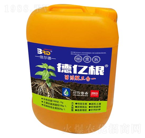 �|����ˎ������һ-������