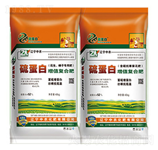 �򵰰����|�ͺϷ�-���r����