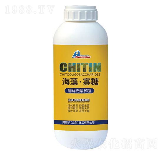 ø�⚤�۶���-���塤����-�W��ɳ