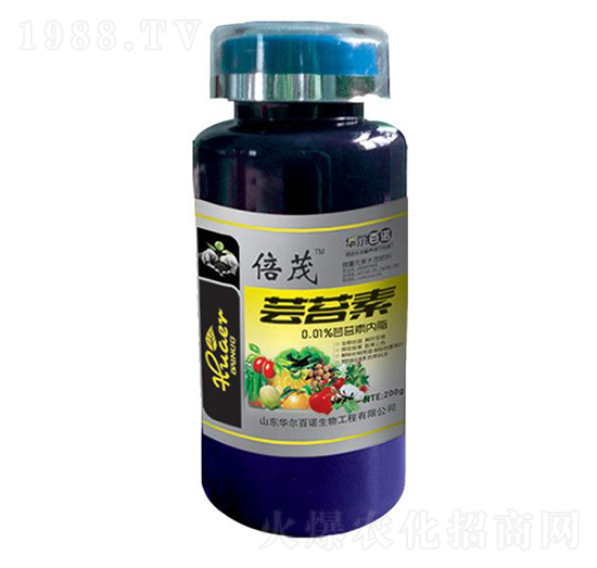 �|̦��-�A�����Z