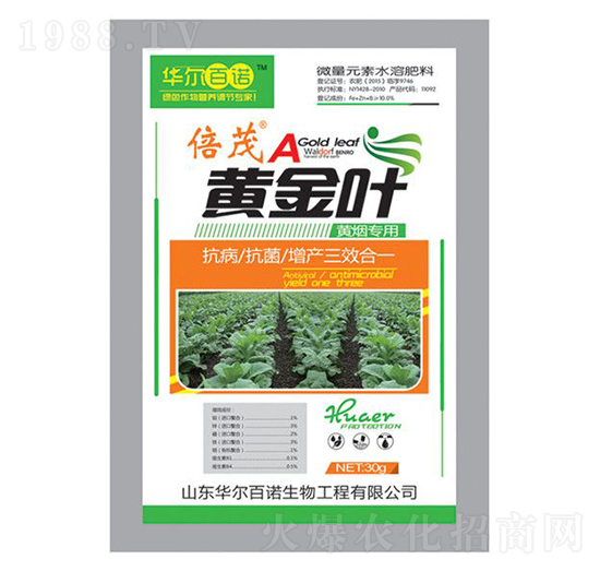 �S����(zhu��n)���~���-�S���~-�A�����Z