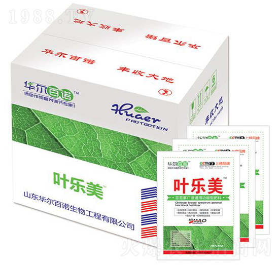 �~����-�A�����Z