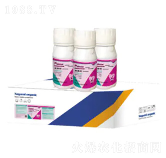 �Ǵ��}�V��-��(y��u)����