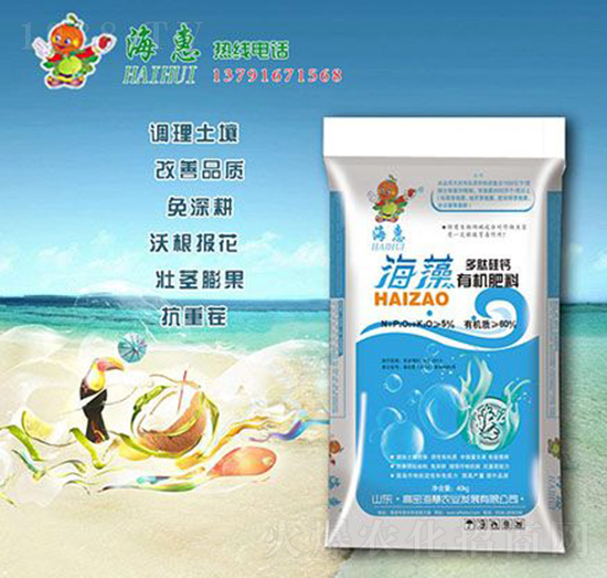 ������Ĺ��}�ЙC(j��)����-����