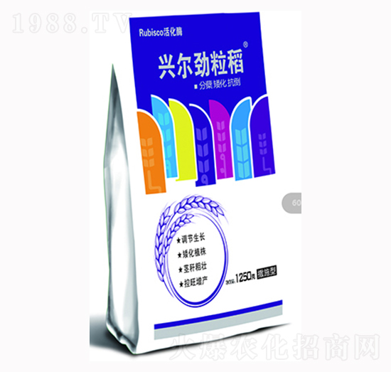 �d��������-�d���r�I(y��)